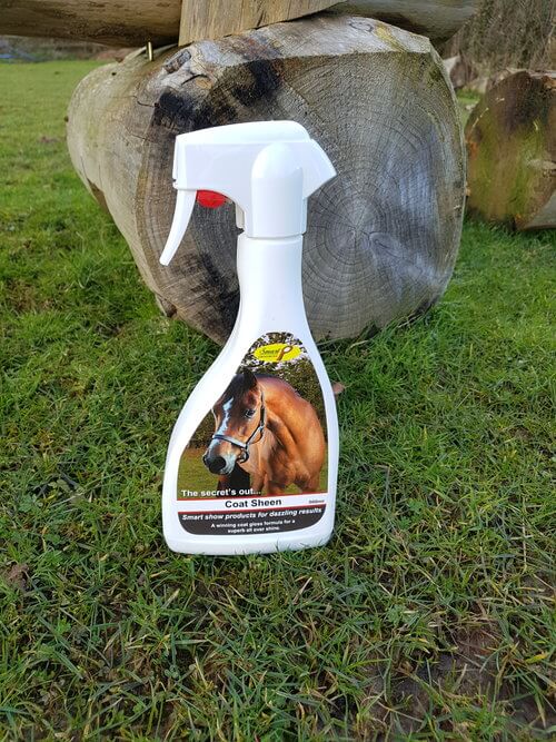 7 Top Tips for Spring Grooming