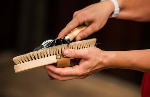 Grooming For Good Health