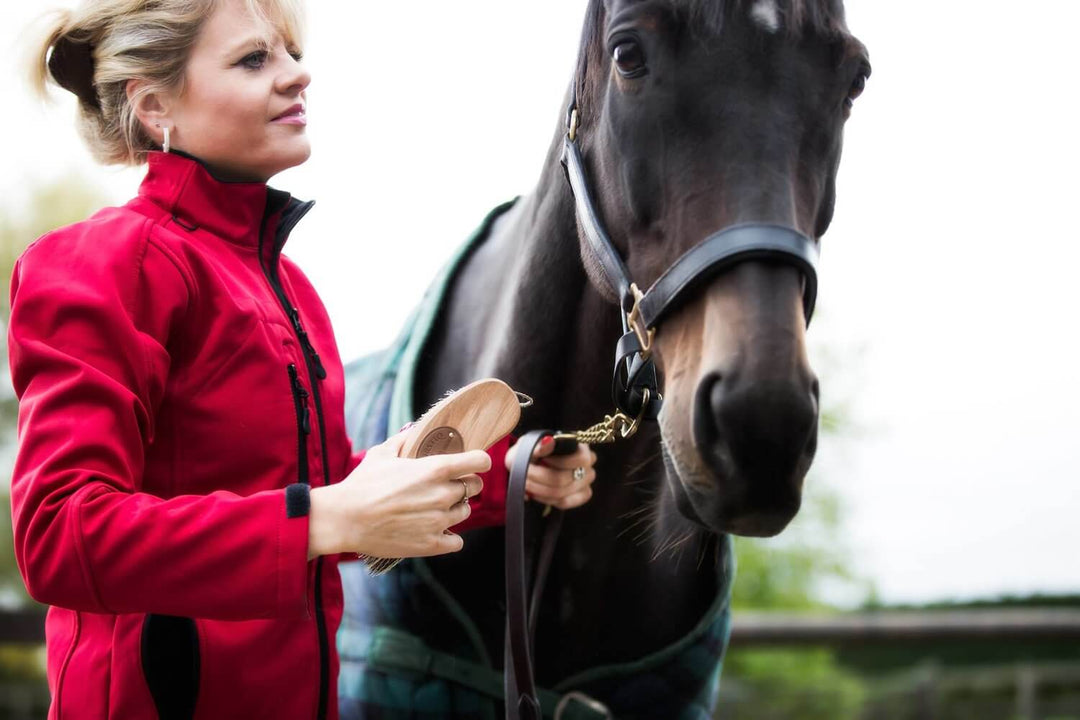 12 Tips for Winter Grooming