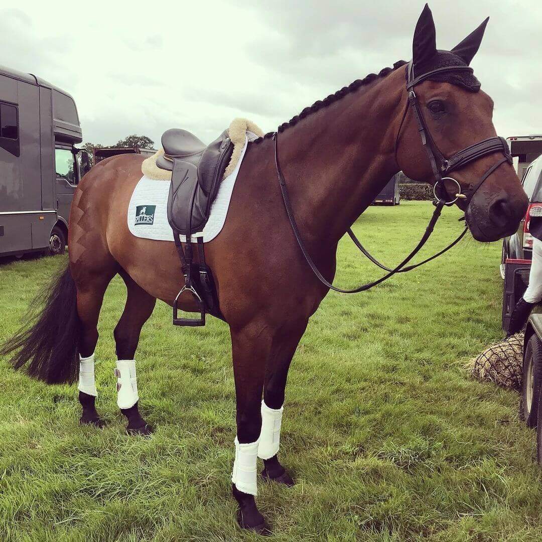 What is life like for an Eventing Groom?