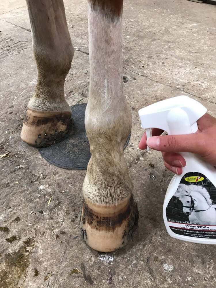 Polar White Stain Remover
