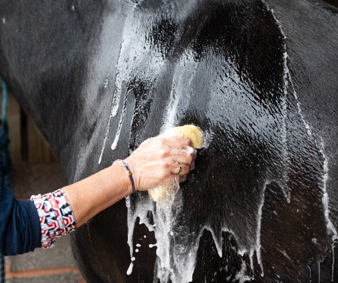 What products do I need for bathing my horse?