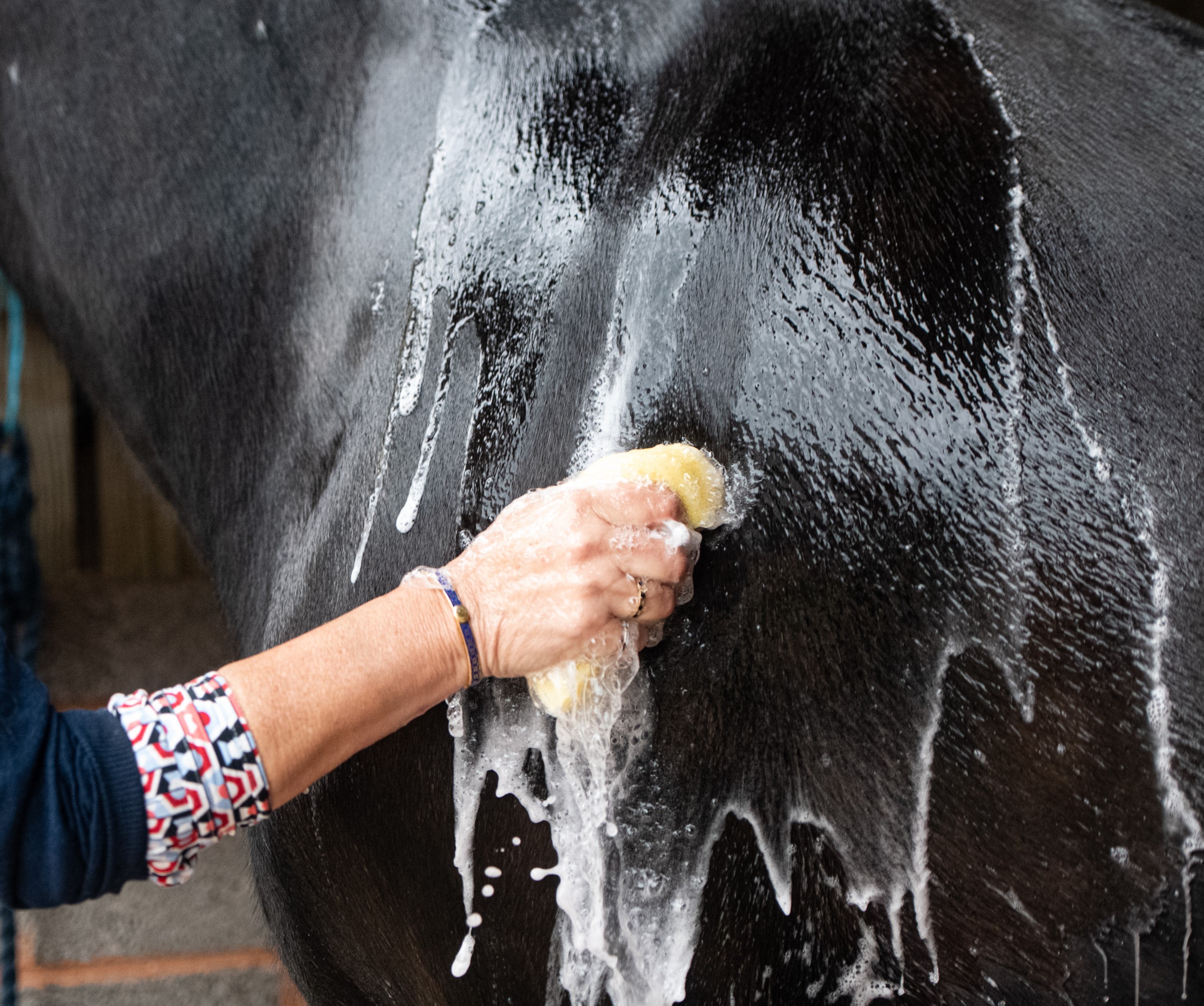What products do I need for bathing my horse?