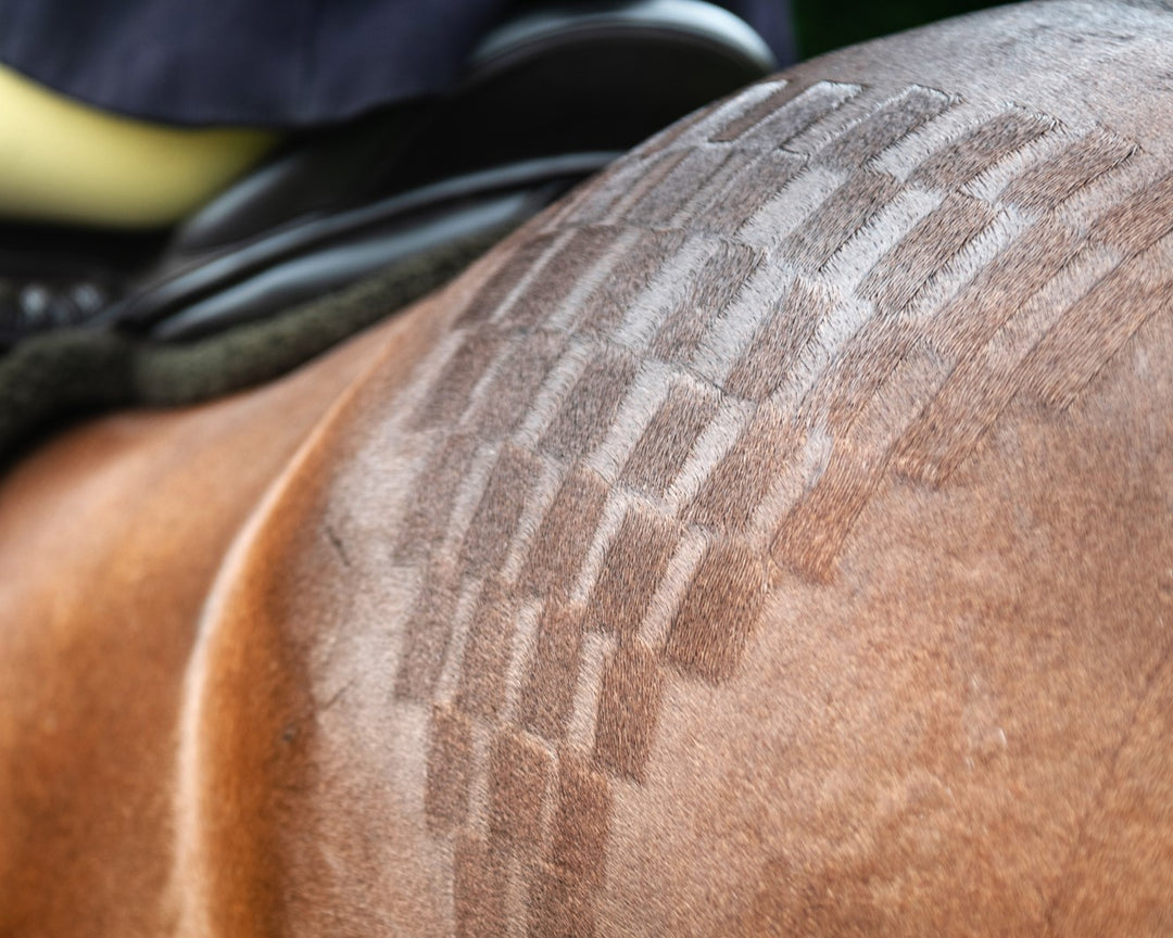 How to Quarter Mark a Show Pony or Hack