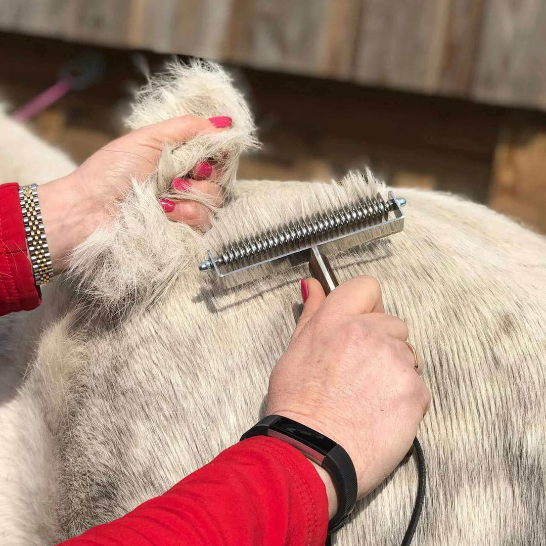 horse hair
