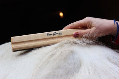 Grooming for pets and horses