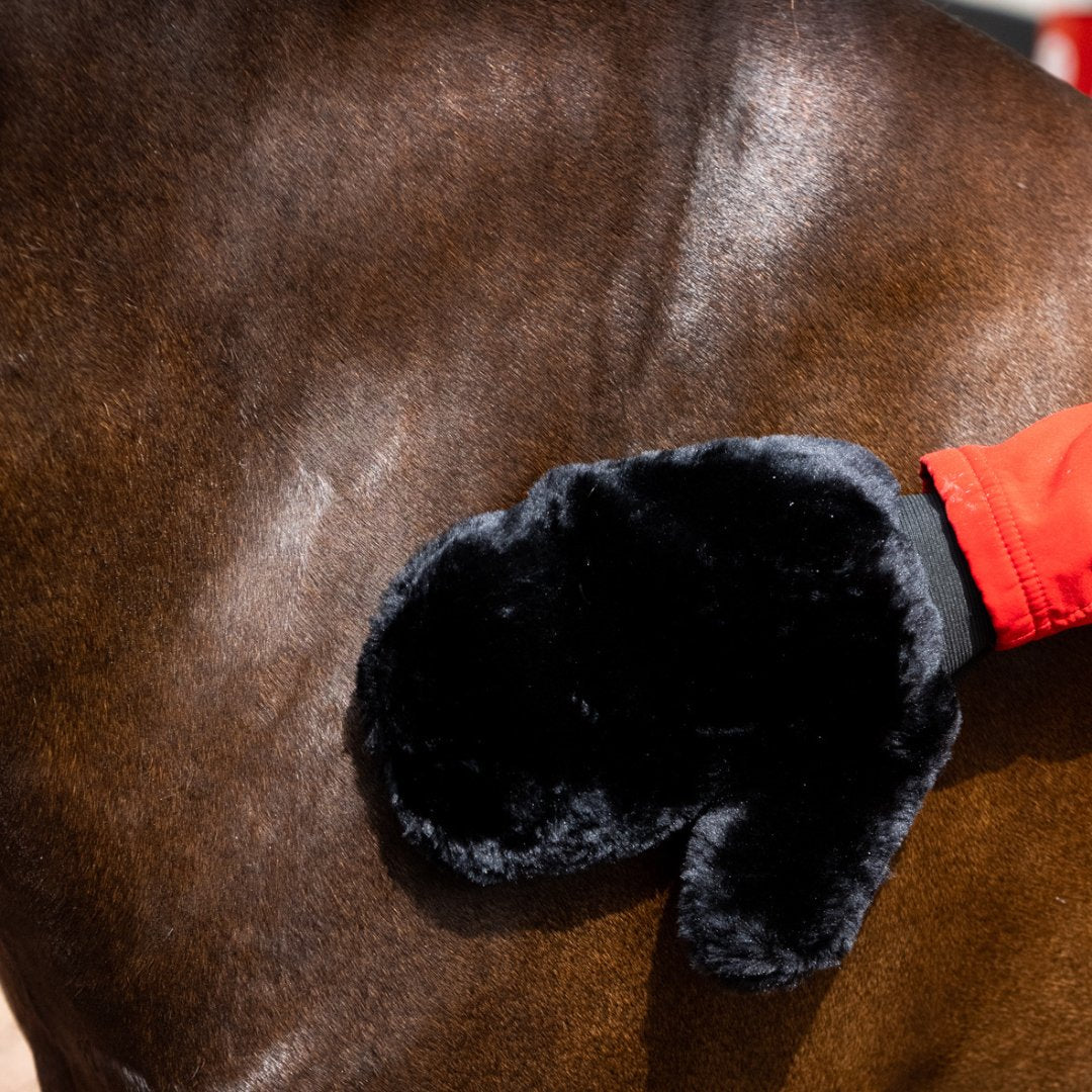Mane, Tail & Coat Products for Horses