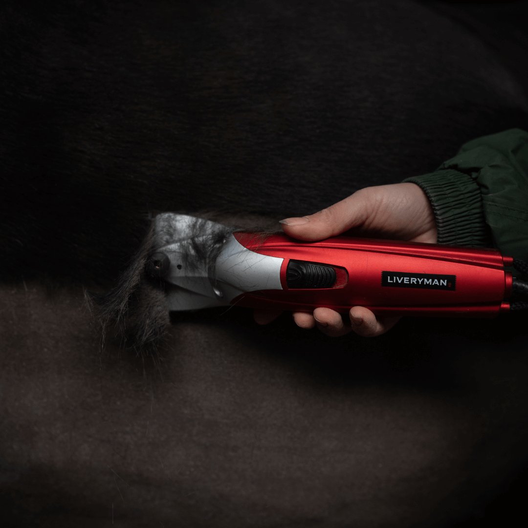 Clipping Essentials