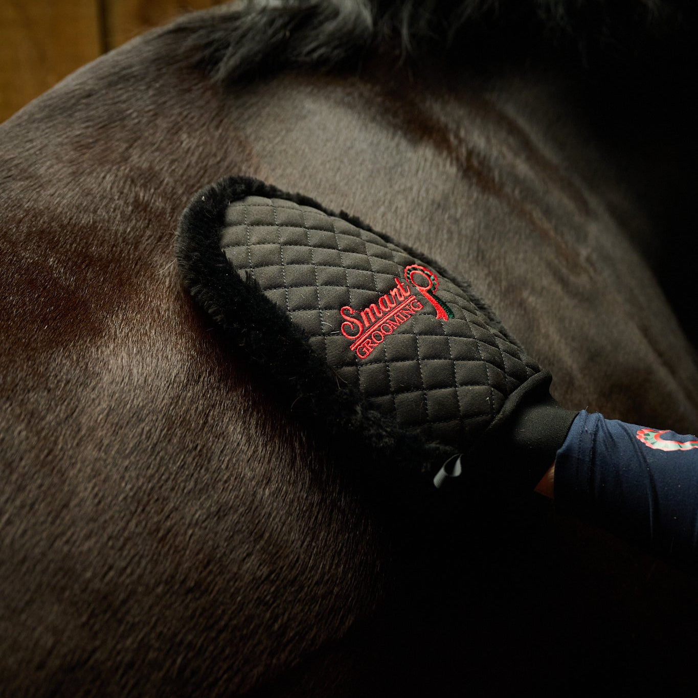 Quilted Grooming Mitt