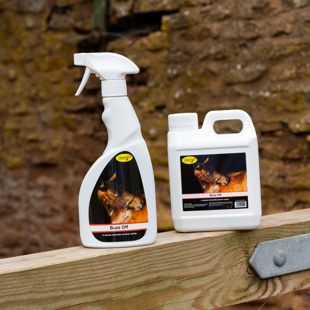Spray d'été Buzz Off