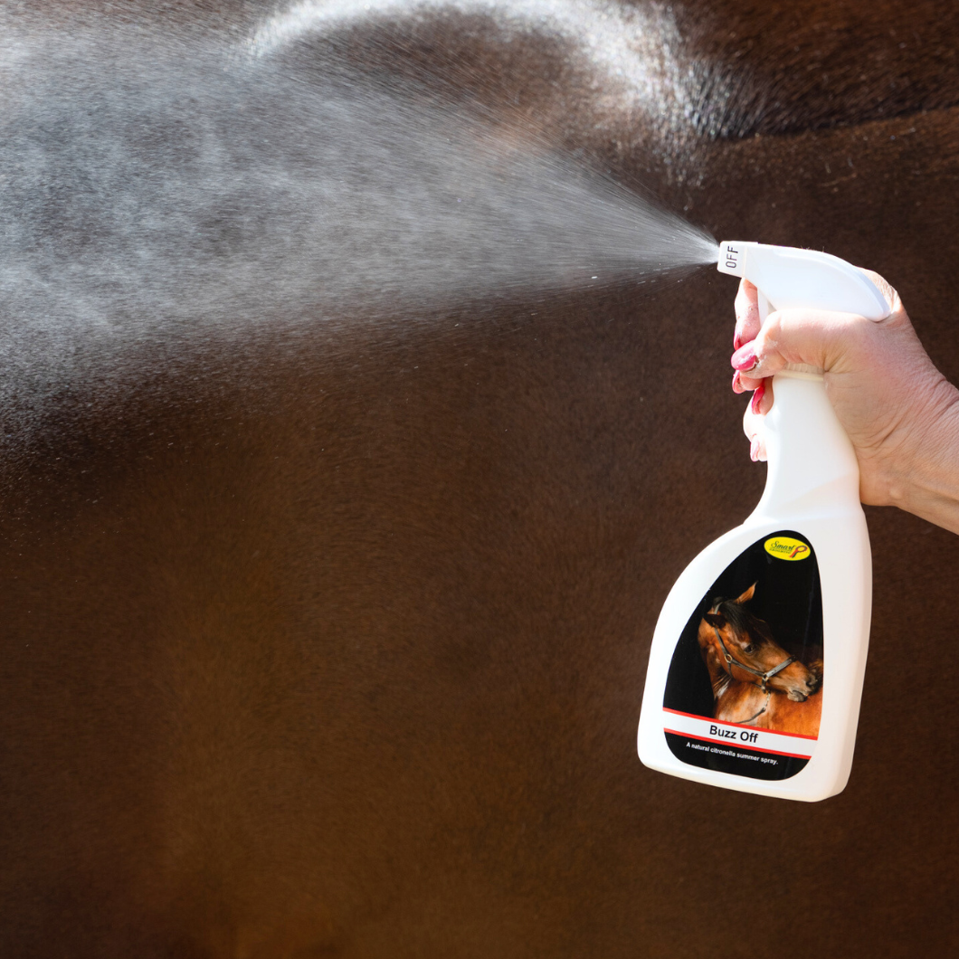 Spray d'été Buzz Off