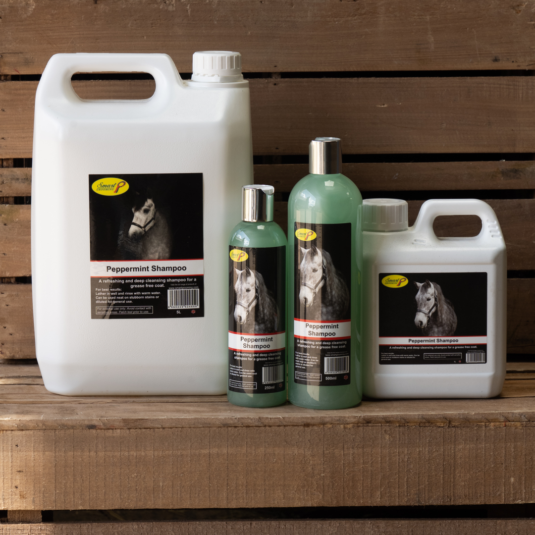 Shampoing à la Menthe Poivrée