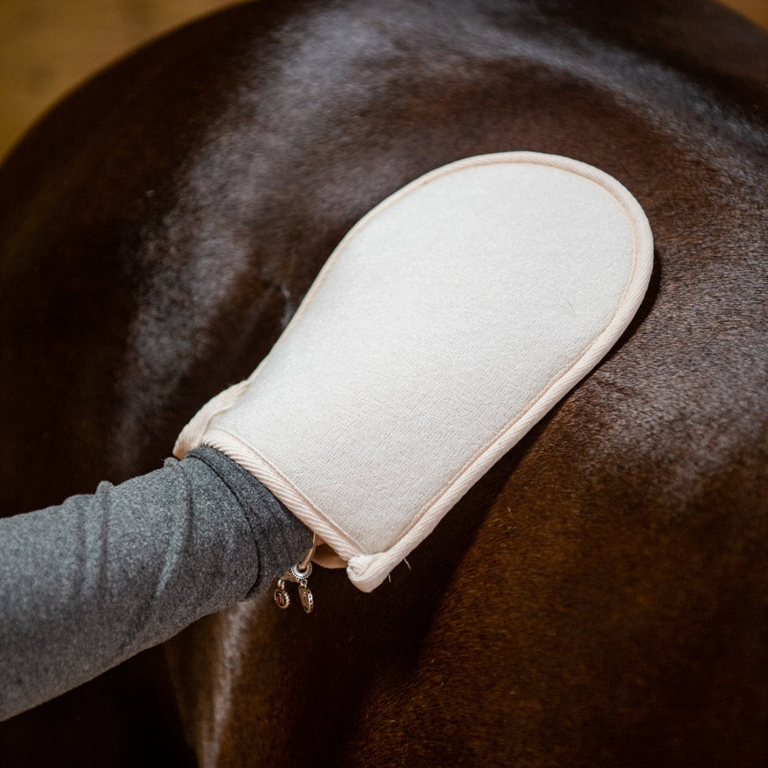 Doppelseitiger Pflegehandschuh mit Kaktus-Motiv