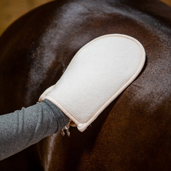 Doppelseitiger Pflegehandschuh mit Kaktus-Motiv