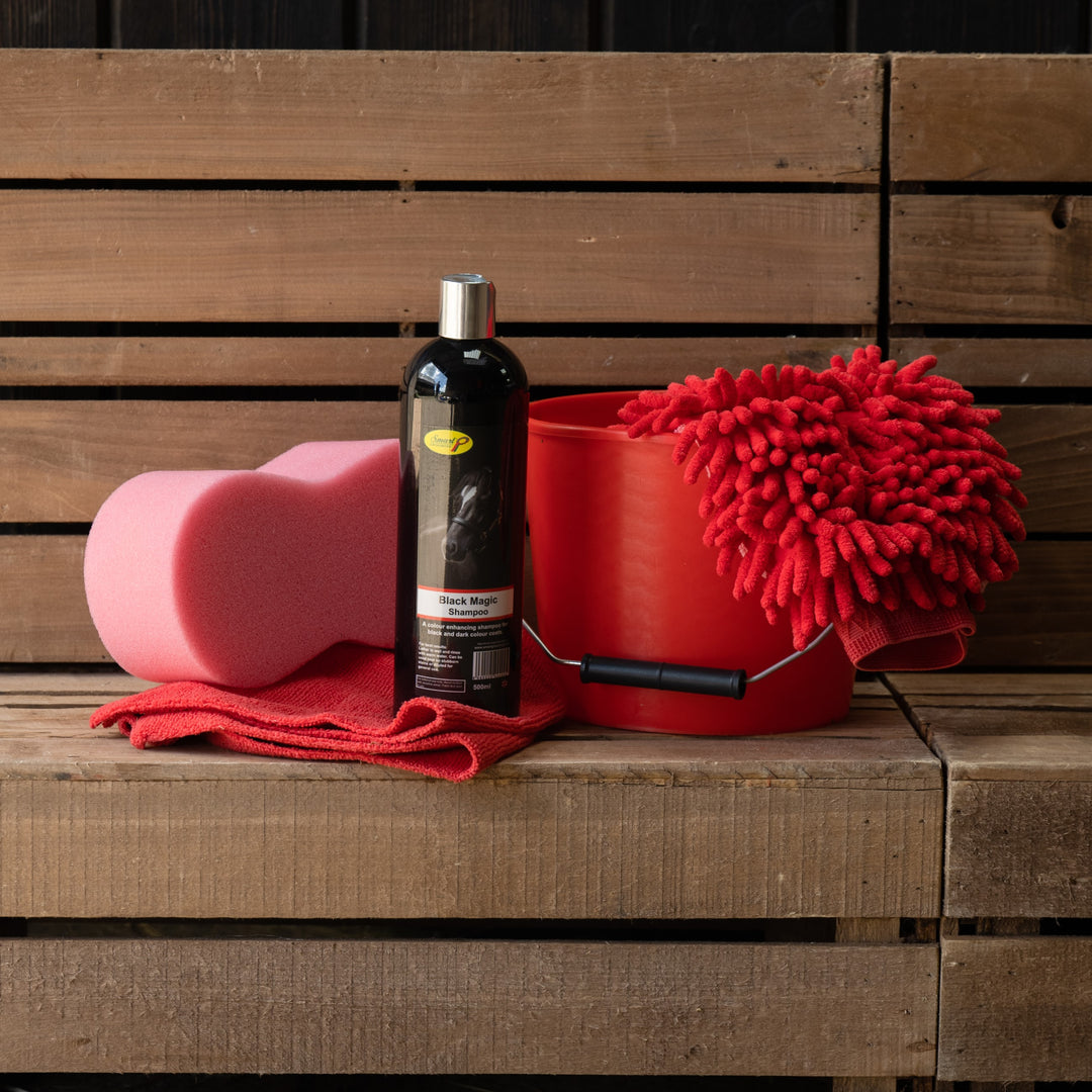 Dark Horse Wash Kit