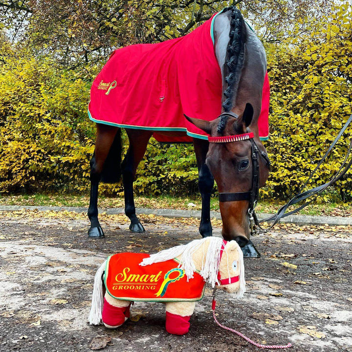 Limited Edition Crafty Pony