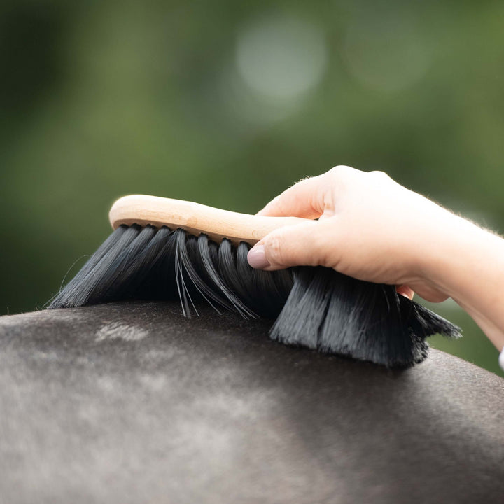 Brosse pour cheval douce en forme de Borstiq