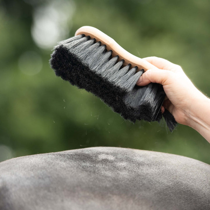 Brosse pour cheval douce en forme de Borstiq