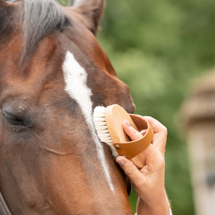 Borstiq Goat Hair Brush