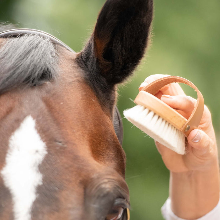 Borstiq Goat Hair Brush