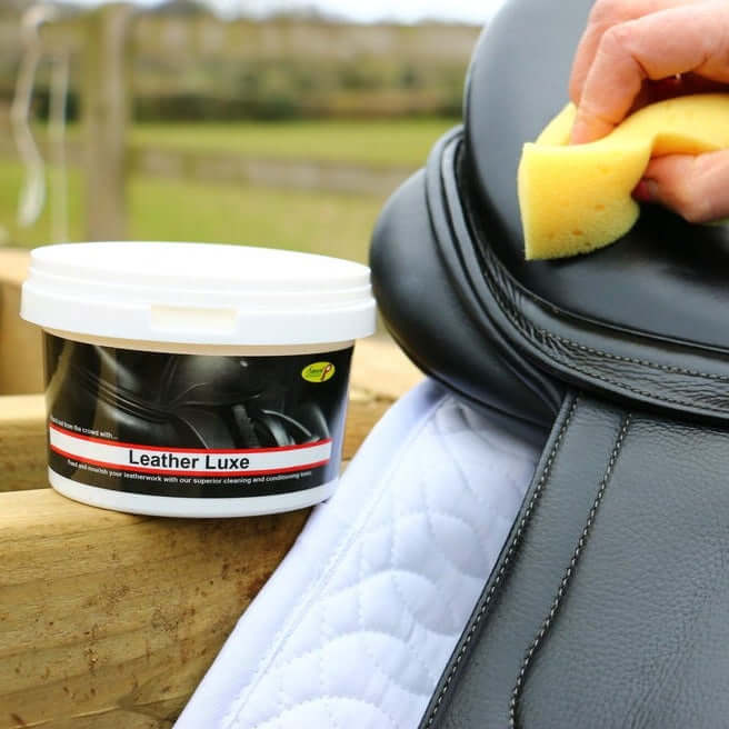 Butter luxe dog discount grooming