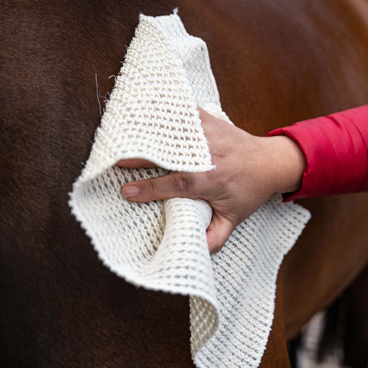 Cactus Grooming Cloth