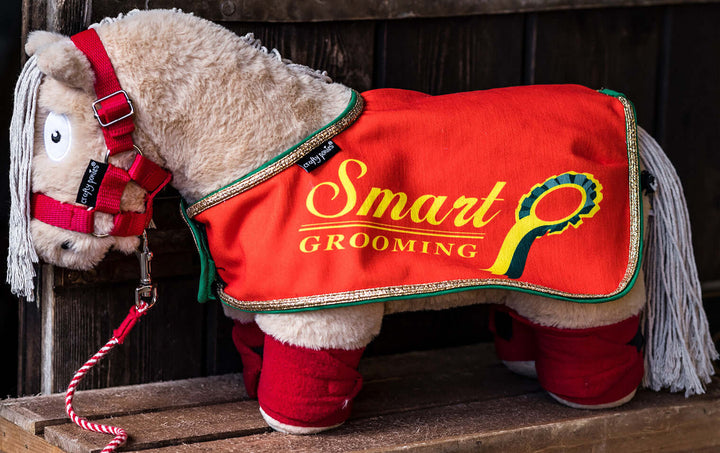 Limited Edition Crafty Pony