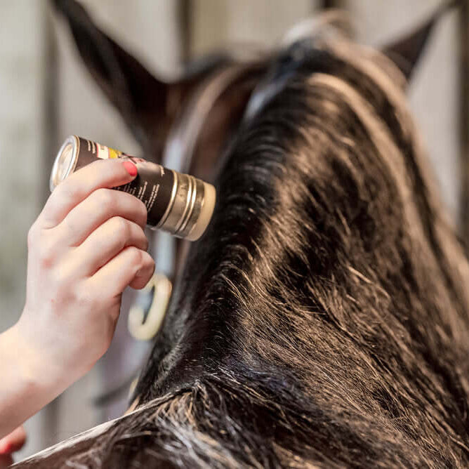 Plaiting Wax