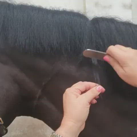 Pro Levelling Knife