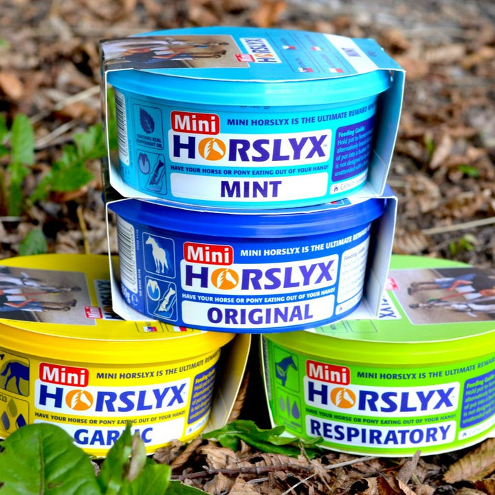 Mini Horslyx