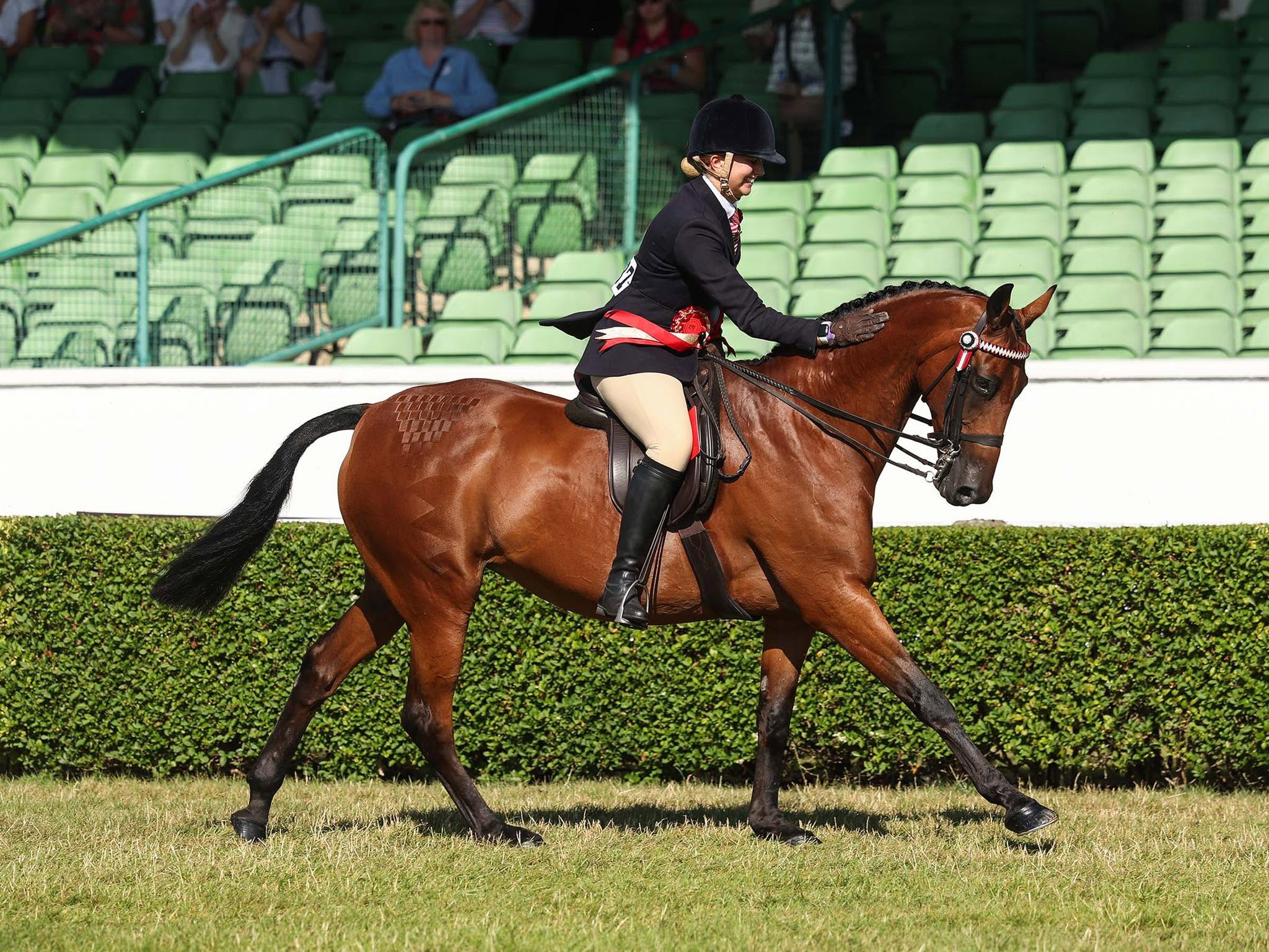 A Complete Guide To Hack Turnout