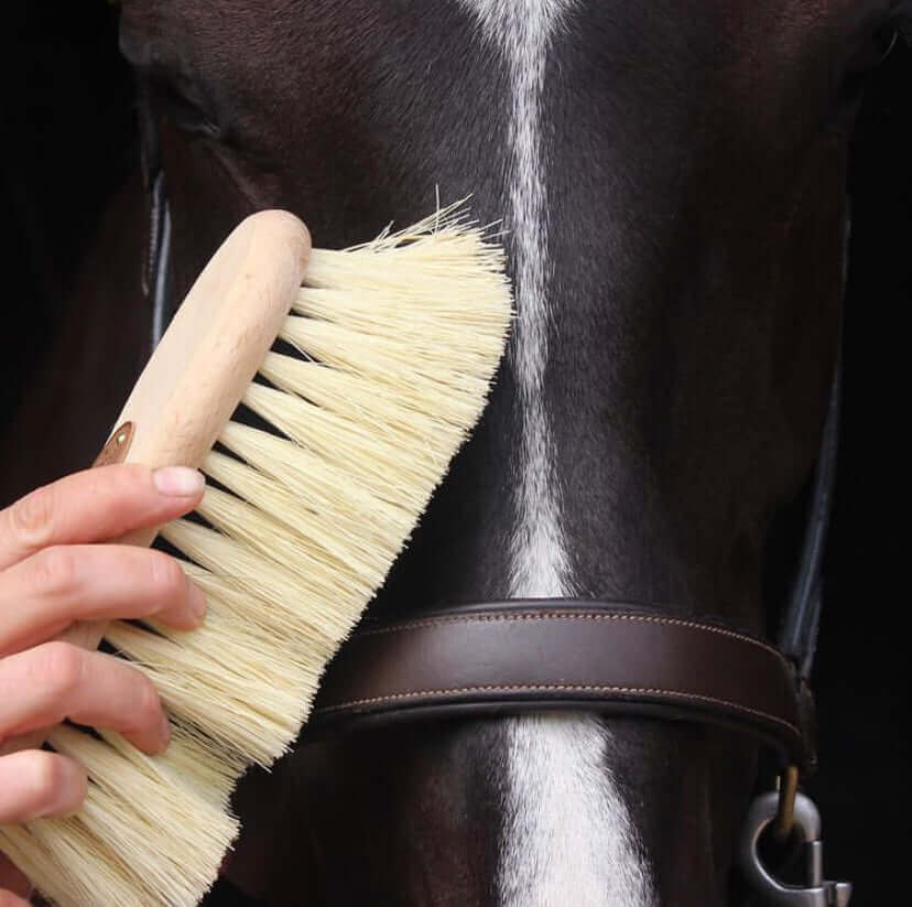 ZooVenture Brosse 6 En 1 Pour Toilettage Et Massage Pour Chevaux ZooVenture Brosse 6 En 1 Pour Toilettage Et Massage Pour Chevaux