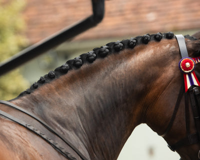 The history behind Plaiting and Braiding