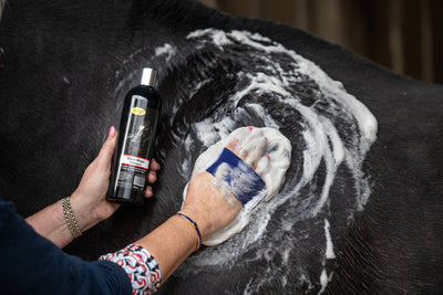 How do I bath my horse with shampoo?