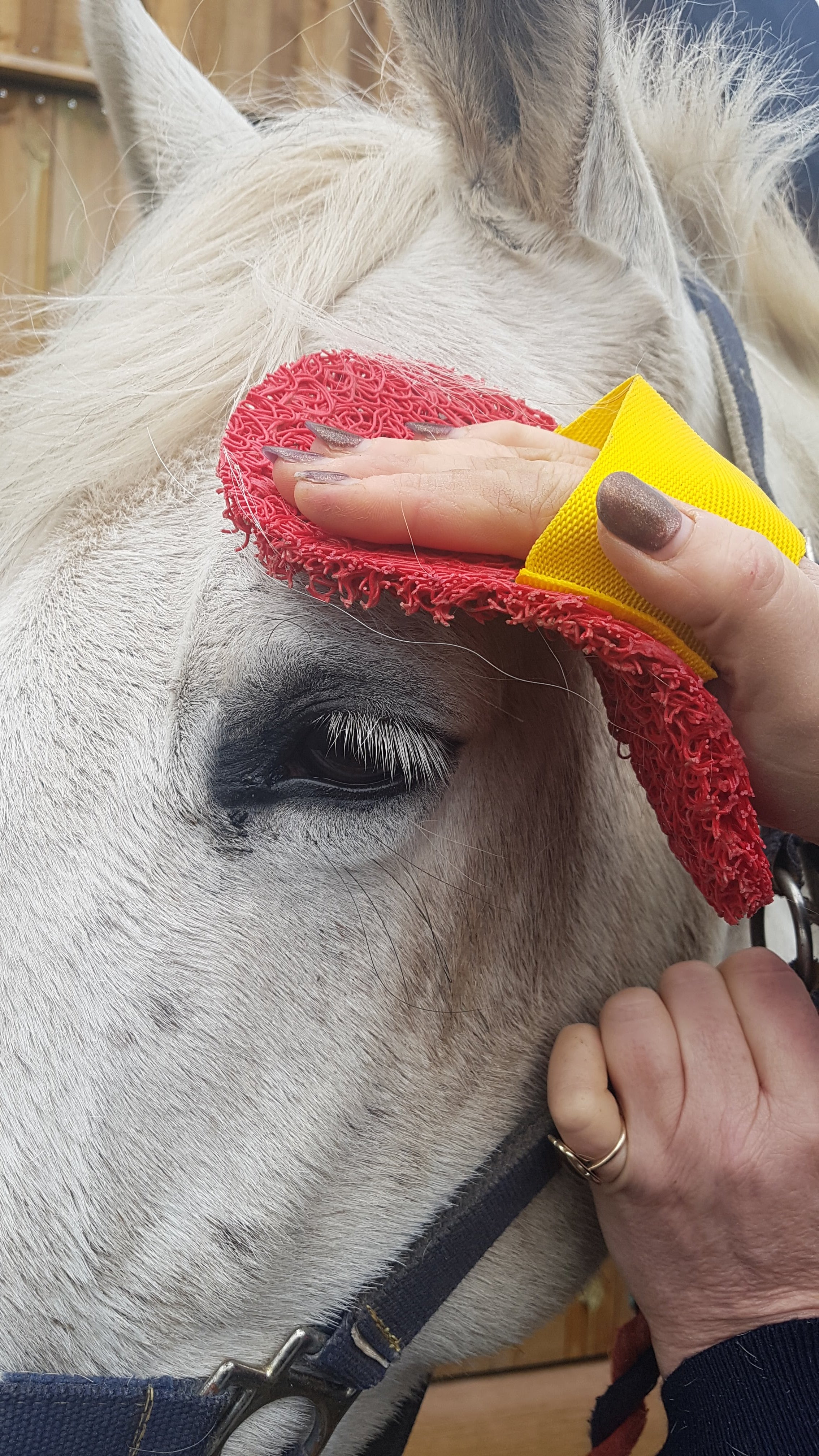 How to use the Smart Grooming Super Groomer