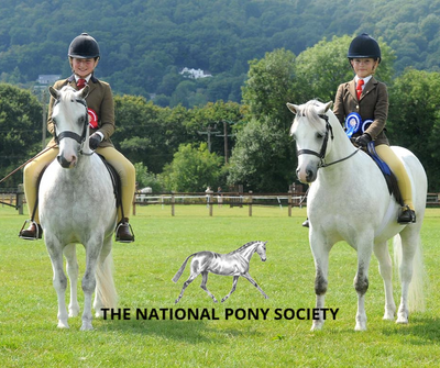 National Pony Society Summer Championships