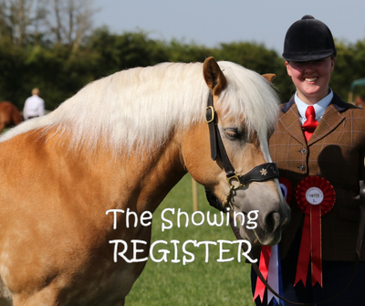 The Showing Register Summer Show
