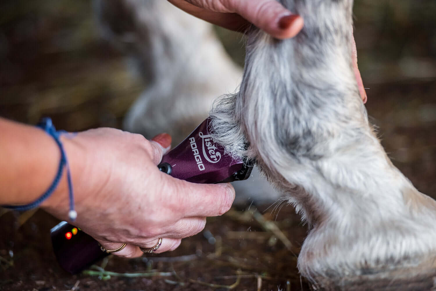 Clipping & Trimming for Hairy Legs