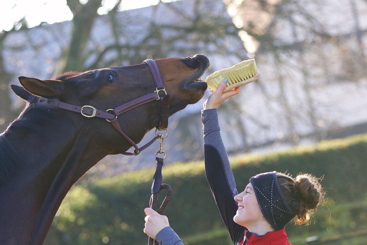 Getting the Shine - Grooming