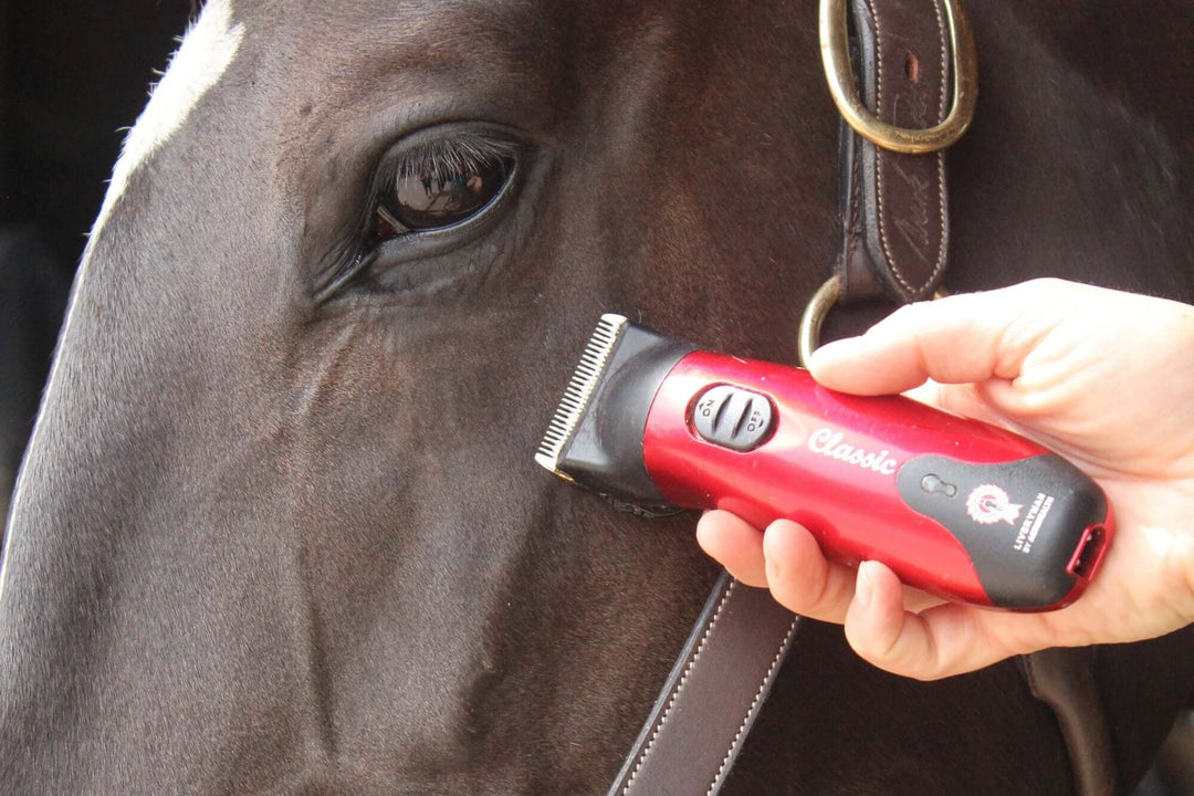 Horse Trimmers