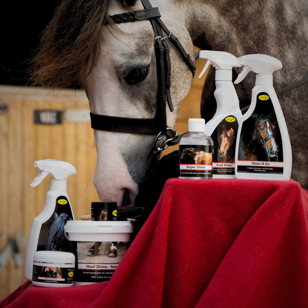 Kits de toilettage pour chevaux