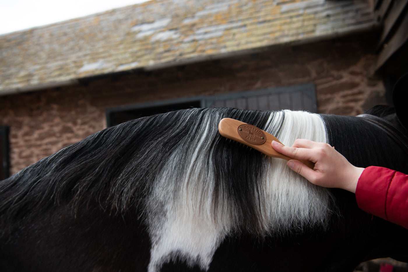 Mane, Tail and Coat Products for Horses