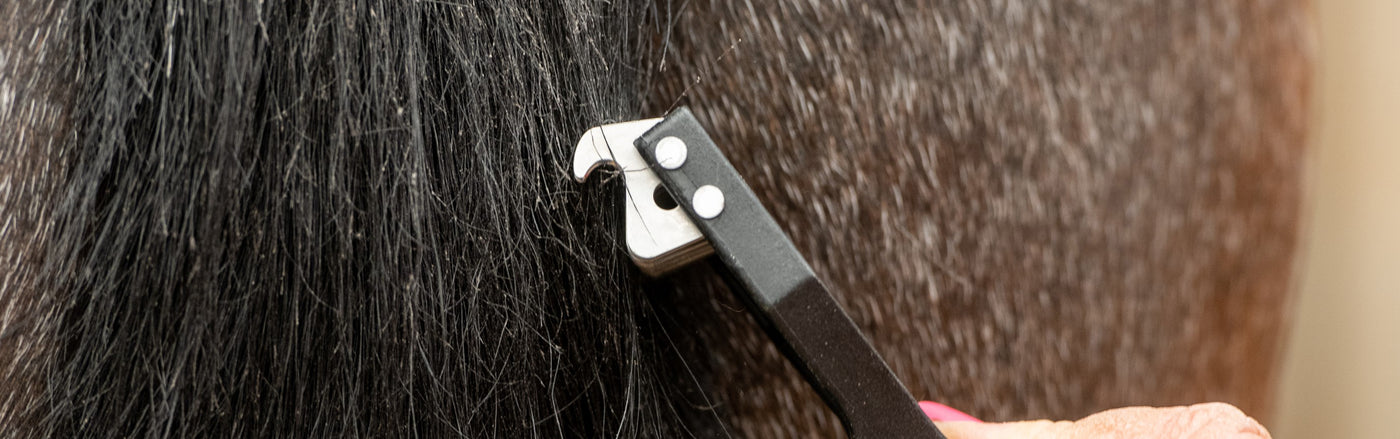 Humane Mane and Tail Rakes for Horses