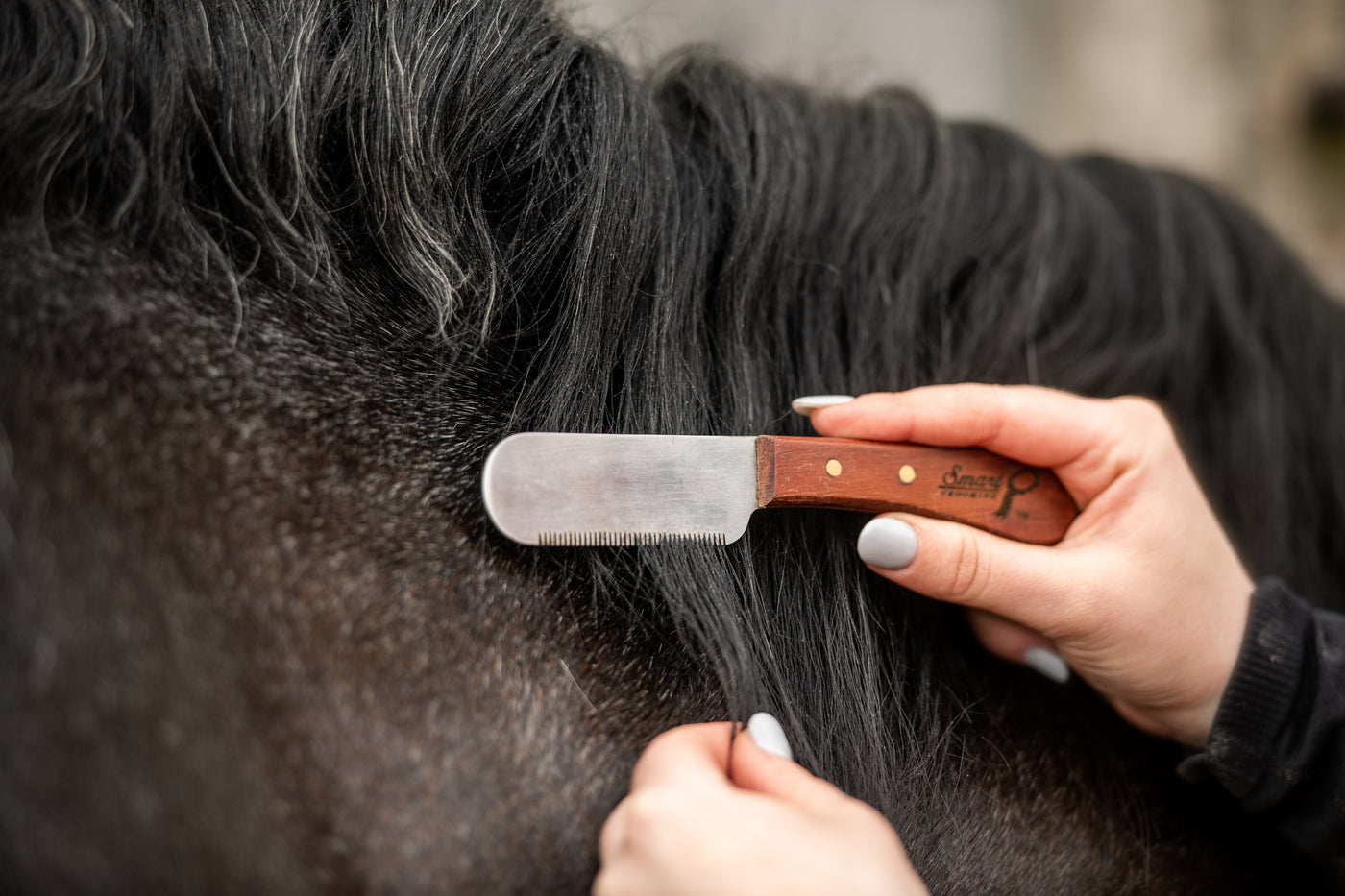 Scissors and Trimming Tools for Horses