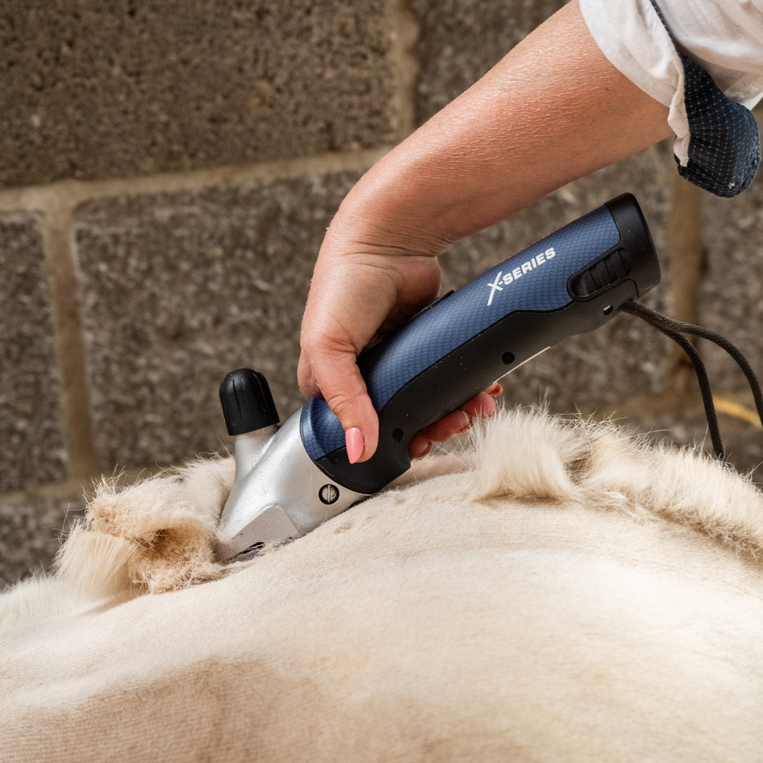 Heiniger Xplorer Clipper
