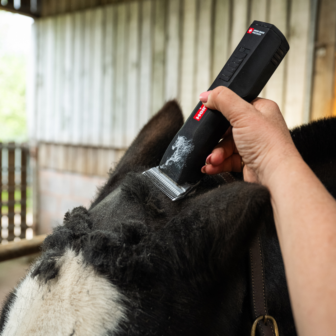 Heiniger Saphir Horse Clipper