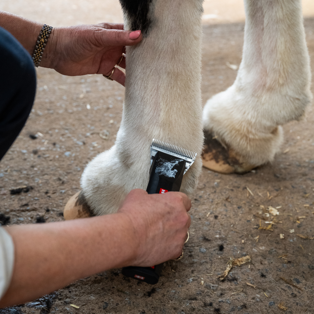 Heiniger Saphir Horse Clipper