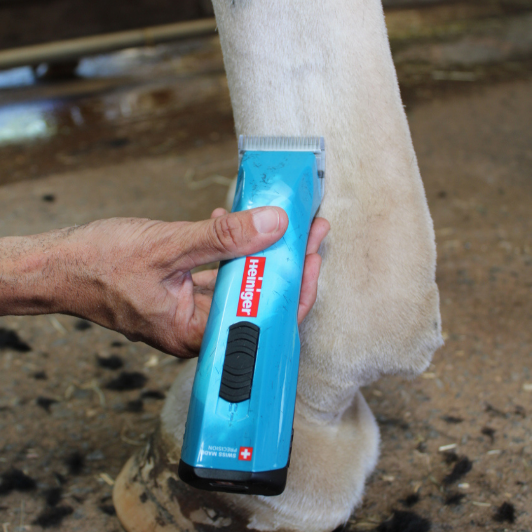 Heiniger Opal Clipper