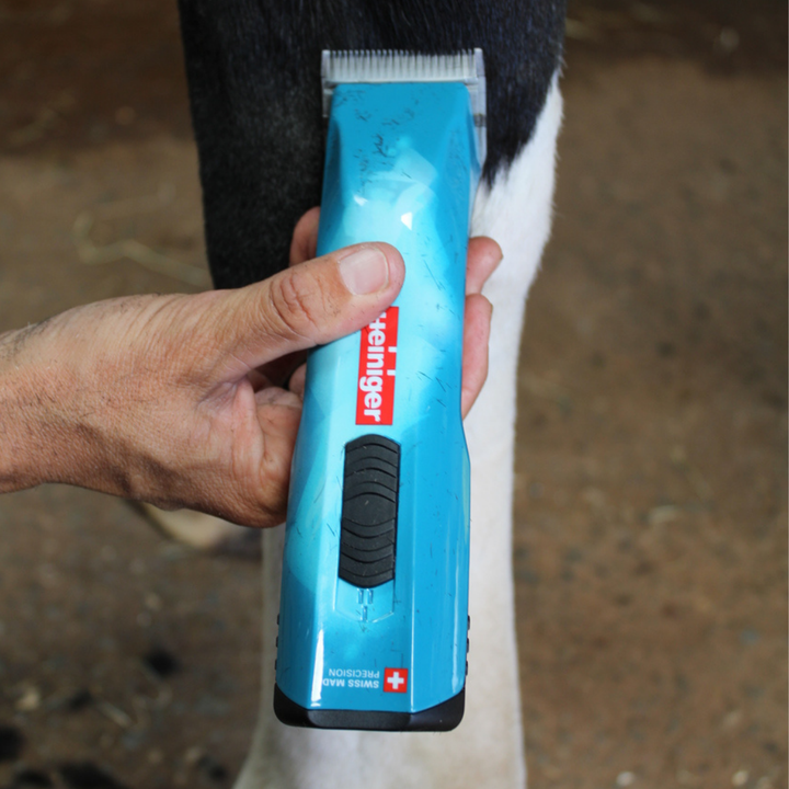 Heiniger Opal Clipper