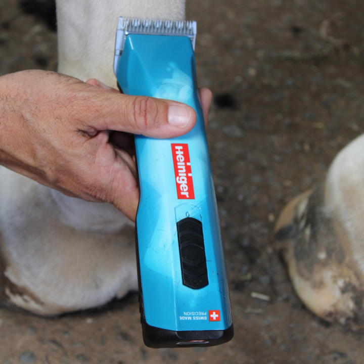 Heiniger Opal Clipper